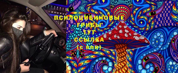 mdpv Балахна