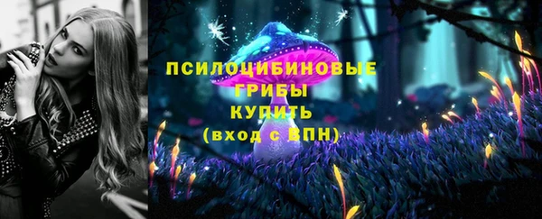 хмурый Балабаново