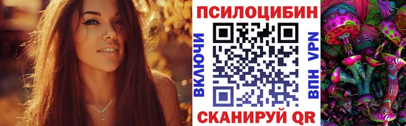 Галлюциногенные грибы Cubensis  Купить где  Нолинск 
